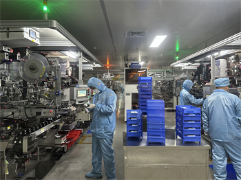 Lithium Battery Production Workshop